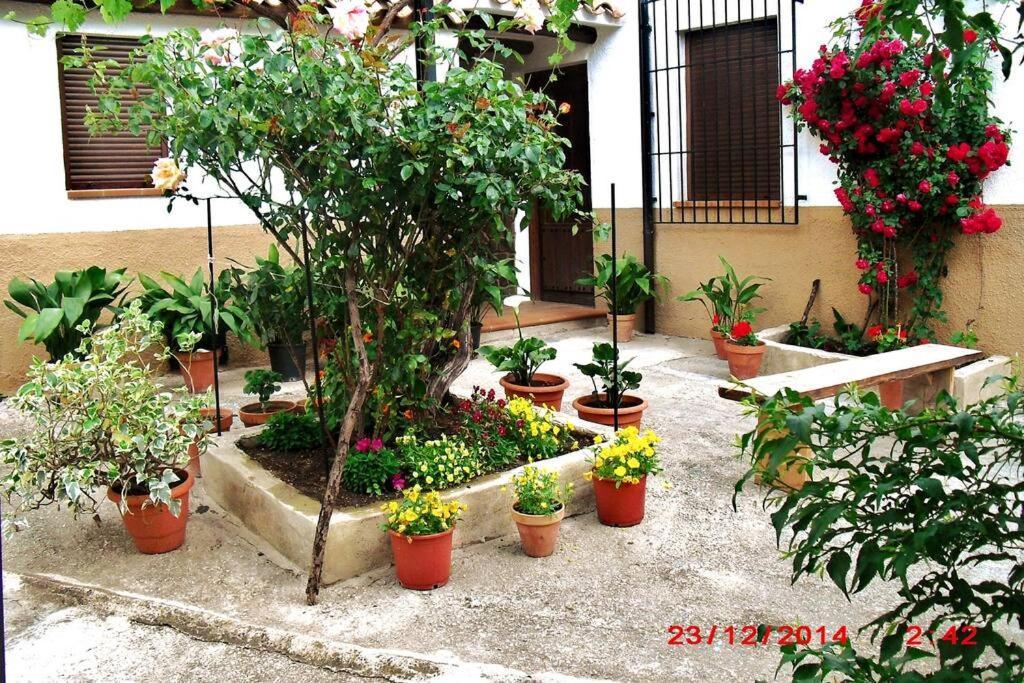 Casa Del Abuelo 1 Villa Yeste Buitenkant foto
